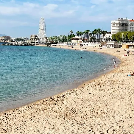 Rez-jardin Renove A Saint-raphael, Cote D'azur